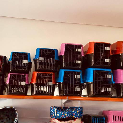 Caixinha de Transporte 