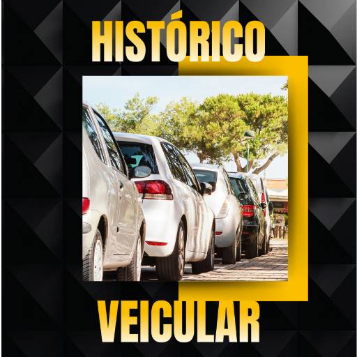 Despachante para Consulta do Histórico Veicular em Bauru