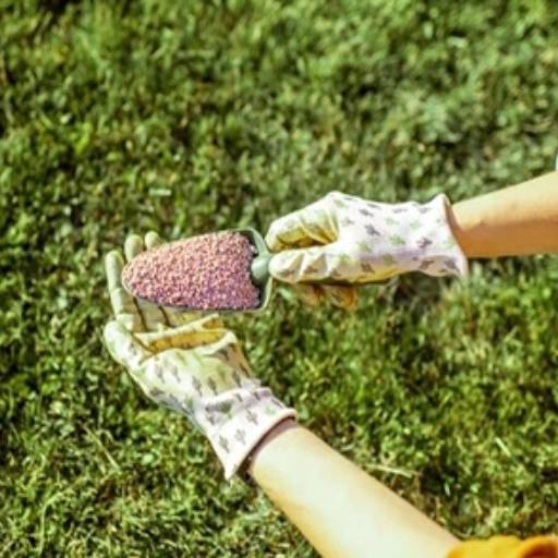 Manutenção de Área Prantil de Grama por S.S Limpeza - Serviços de Limpezas e Faxinas em Geral