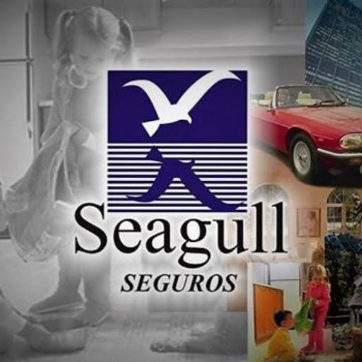 Exclusividade Seagull Seguros: Check-up Preventivo Programado para o Seu Veículo Durante a Vigência da Apólice