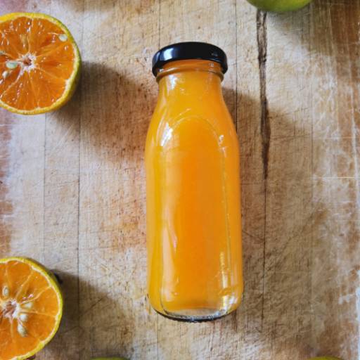 Suco de Laranja 1L 100% Natural – Frescor e Saúde em Lençóis Paulista