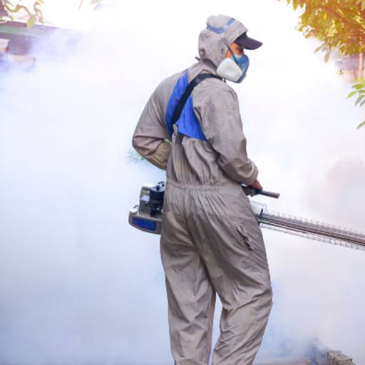 Sanitização Contra Mosquito da Dengue