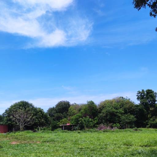 Aluguel de Rancho com Conforto Completo para Festas – Mira Estrela, SP por Rancho do Zé Luis da Padaria