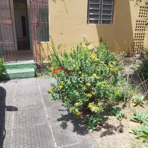 Casa em Rua Conde de Irajá - Torre - Recife/PE por Ana Patrícia Corretora de Imóveis e Seguros