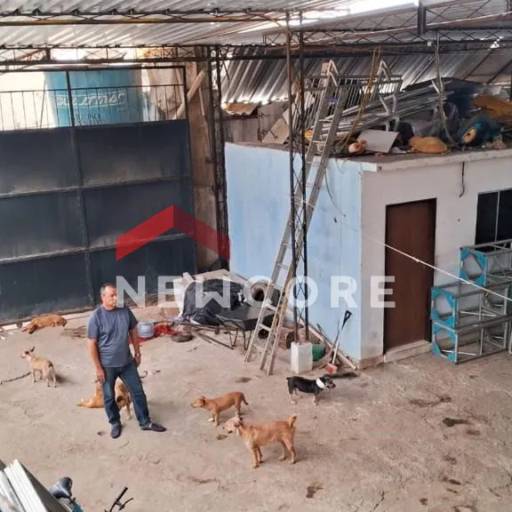 Galpão em Rua Jorge Albuquerque de Carvalho - Peixinhos - Olinda/PE por Ana Patrícia Corretora de Imóveis e Seguros