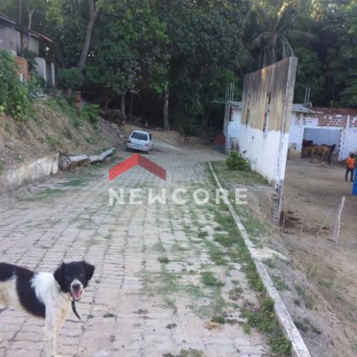 Sítio em Rua Ligia Gomes - Ouro Preto - Olinda/PE por Ana Patrícia Corretora de Imóveis e Seguros