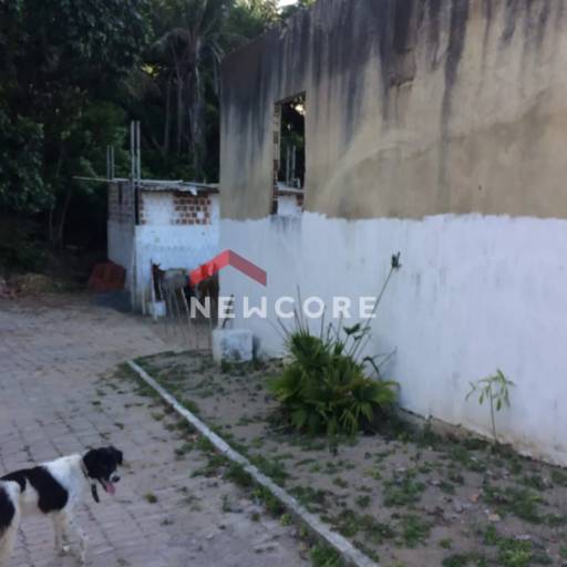 Sítio em Rua Ligia Gomes - Ouro Preto - Olinda/PE por Ana Patrícia Corretora de Imóveis e Seguros