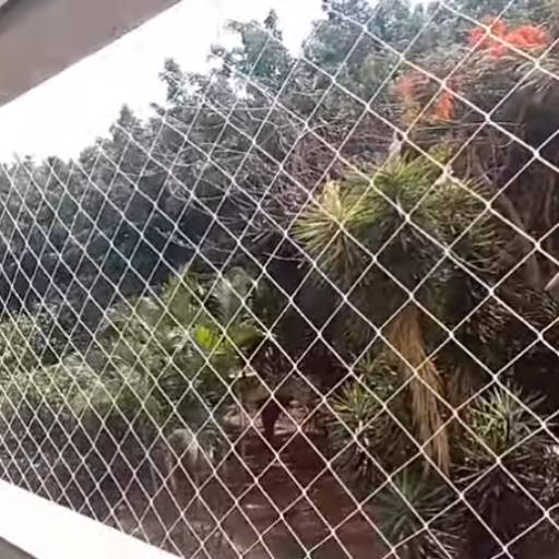 Redes de Proteção - Proteção para a sua Família!