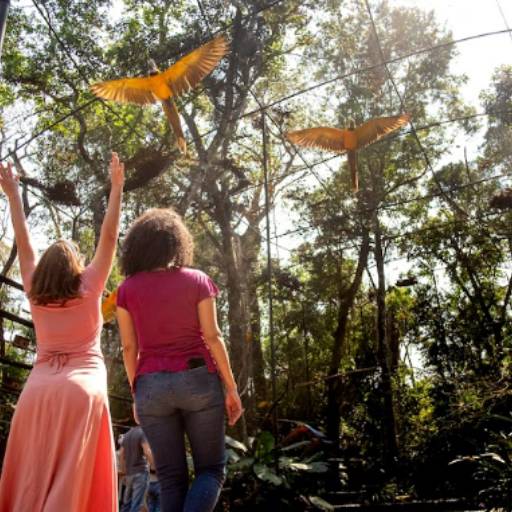 Ingresso Parque das Aves em Foz do Iguaçu, PR por Y & G Turismo Receptivo