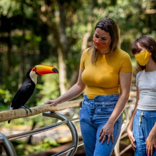 Ingresso Parque das Aves em Foz do Iguaçu, PR por Y & G Turismo Receptivo