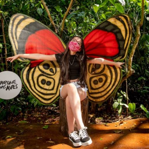 Ingresso Parque das Aves em Foz do Iguaçu, PR por Y & G Turismo Receptivo