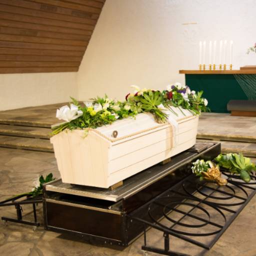 Translado Aéreo Seguro e Ágil – São Mateus por Funerária Pax Vida