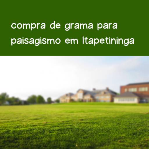 compra de grama para paisagismo em Itapetininga