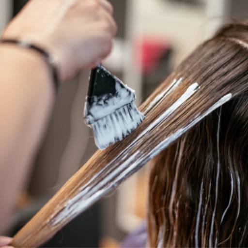 Tintas Alta Moda – Beleza e Cores Vibrantes em Lençóis Paulista