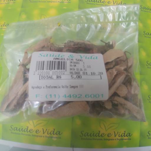 Angelica por Saúde e Vida