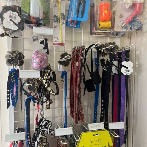 Comprar o produto de Coleiras para cães e gatos em Acessórios para cães e gatos pela empresa Clínica Veterinária Vet Lemos (Farmavet) em Foz do Iguaçu, PR por Solutudo