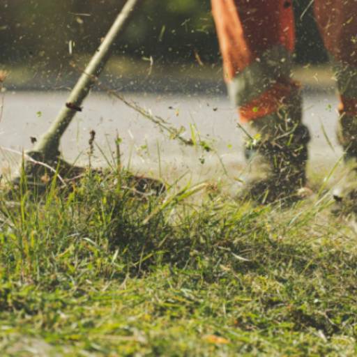 Limpeza de Terrenos por Up soluções residenciais