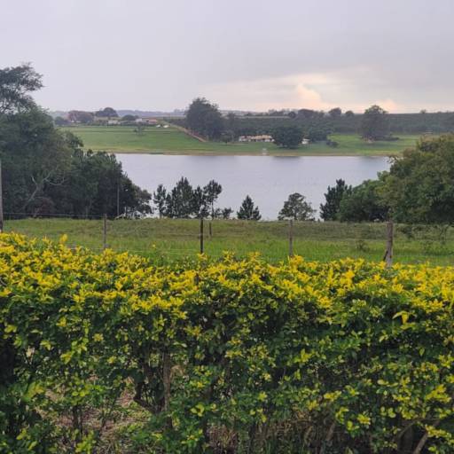 Sítio Pé na Água a Venda