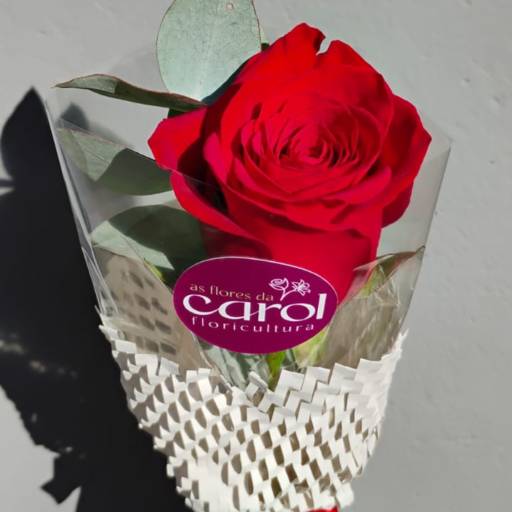 Coleção Lembrei de Você - Rosa Vermelha Importada 