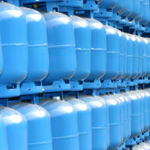 P05 - Compacto e Versátil para Uso Doméstico e Comercial em São Manuel/SP