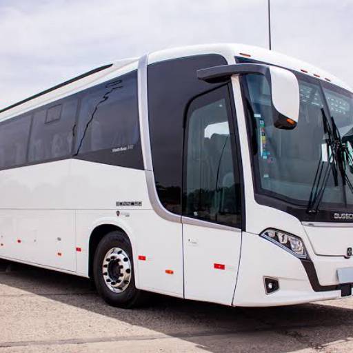 Locação de Ônibus - Conforto e Segurança em Mara Rosa/GO por Transjardel Transportes