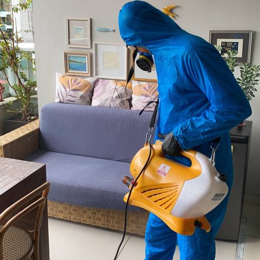 Dedetização Contra Pragas Urbanas - Proteção Eficaz em Belo Horizonte/MG por Desentupidora Império Solução Predial