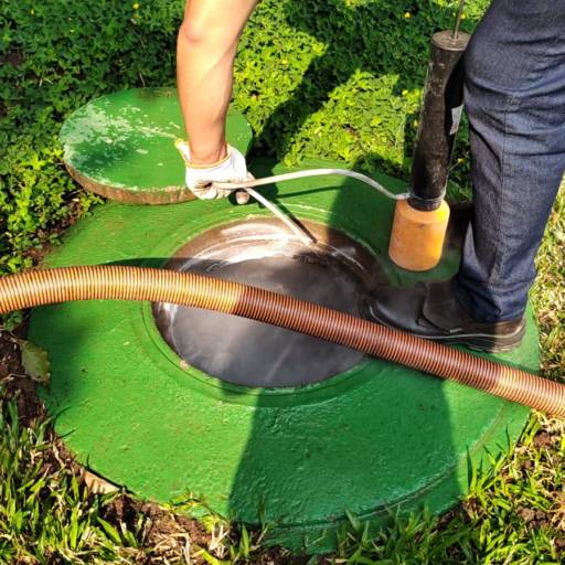 Dedetização de caixa de gordura.