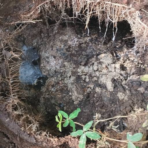 Limpeza de Caixa de Gordura, Sabão e Esgoto - Solução Rápida e Eficiente em Belo Horizonte/MG por Desentupidora Império Solução Predial