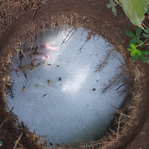 Limpeza de Caixa de Gordura, Sabão e Esgoto - Solução Rápida e Eficiente em Belo Horizonte/MG por Desentupidora Império Solução Predial