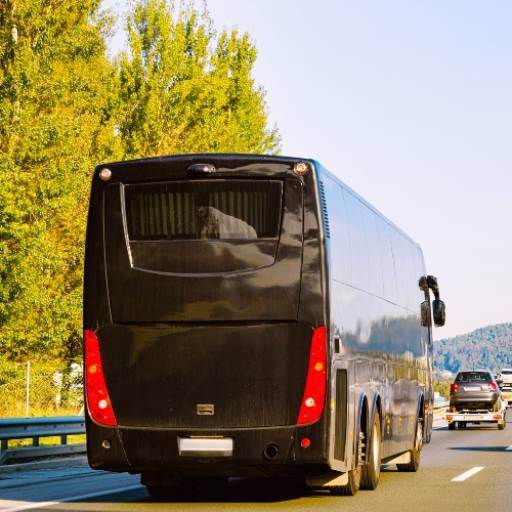Viagens e Turismo - Conforto e Segurança em Barro Alto/GO por Transjardel Transportes