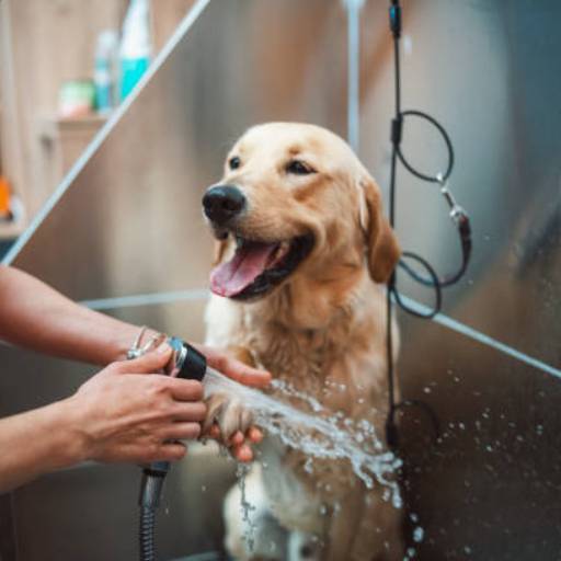 Banho e Tosa - Higiene e Bem-Estar para seu Pet em Avaré, SP por Spaço Pet Clínica Veterinária