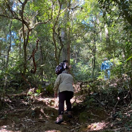 Trilhas no Parque Estadual da Serra do Mar - Conexão com a Natureza em Cunha, SP por Guiacunhacibele