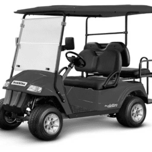 Carrinho Elétrico para Lazer Fazenda Boa Vista