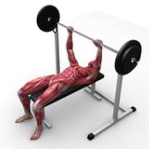 Musculação Terapêutica