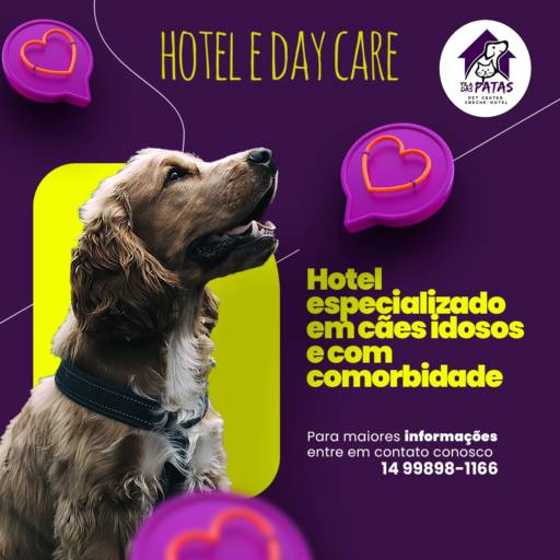 Hotel e Day Care para Cães Idosos e com Comorbidades em Bauru por Vila das Patas - Pet Center, Creche e Hotel para Cachorro em Bauru