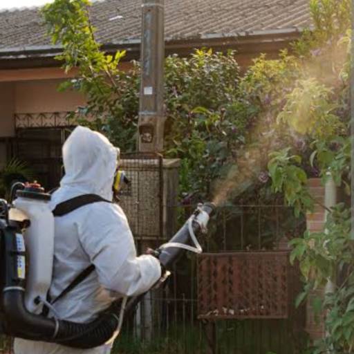 Controle de Mosquito Aedes aegypti/Mosquito da Dengue - Proteção Contra Epidemias - Salto