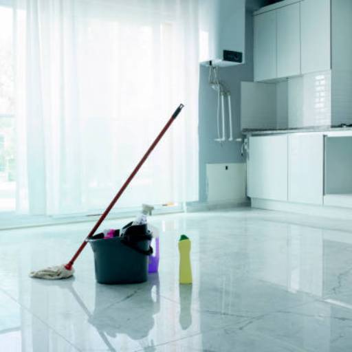 Limpeza Residencial: Mais Tempo e Conforto para Você em Ibiporã, PR por Maria Brasileira