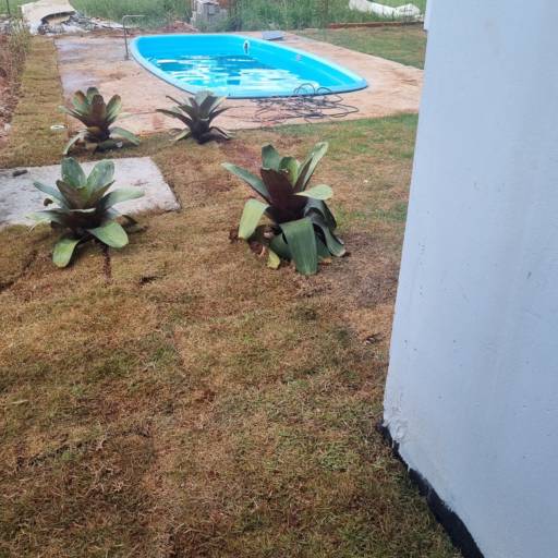 Projeto de Paisagismo - Antes e Depois por Live Art