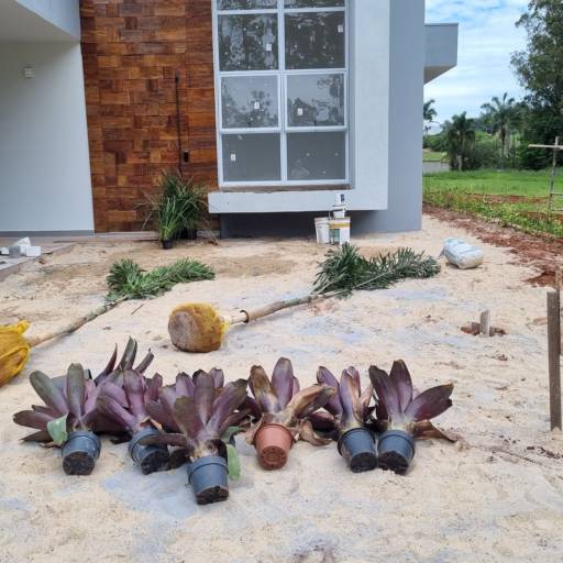 Projeto de Paisagismo - Antes e Depois por Live Art