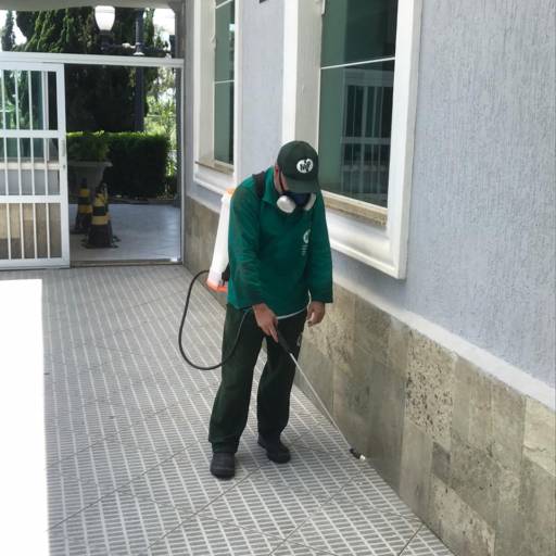 Dedetização para Escorpiões em Vargem Grande Paulista, SP