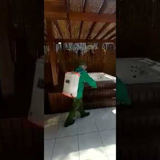 Proteção Imediata – Dedetização para Escorpiões em São Roque, SP