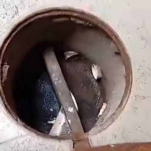 Desentupidora e Limpeza de Fossa em Itaipava, RJ – Desentupidora Fácil Ambiental por Desentupidora Fácil Ambiental