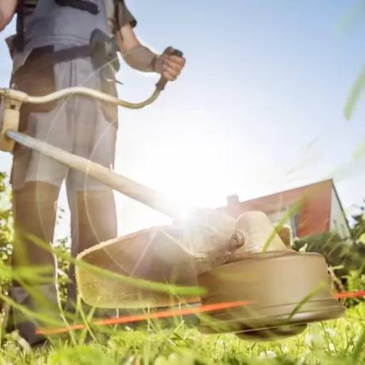 Limpeza de Terrenos por CR Marido de Aluguel e Empreiteira