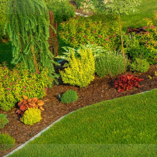 Jardinagem e Paisagismo em Itapetininga