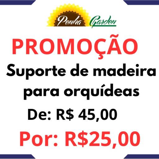 Suporte de Madeira para Orquídeas