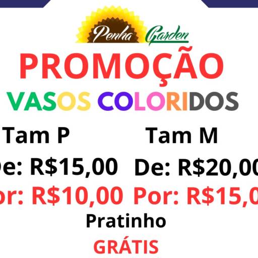 Vasos Coloridos Tamanho P