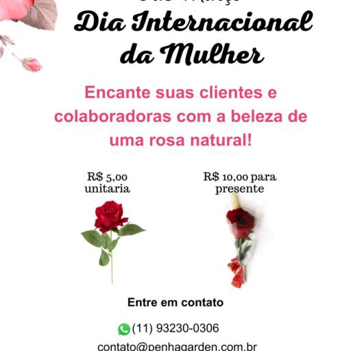 Dia Internacional da Mulher