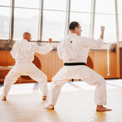 Comprar o produto de Aikido em Academia de Aikido pela empresa Academia Life Botucatu em Botucatu, SP por Solutudo