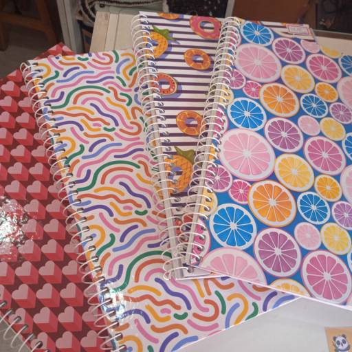 Caderno de Espiral 1 Matéria – Praticidade e Organização em São Paulo, SP em São Paulo, SP por Papelaria e Presente Safari