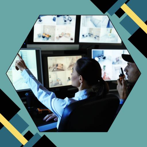 Monitoramento Eletrônico